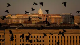 Израиль вел прослушку спецпосланника Трампа и замглавы Пентагона,